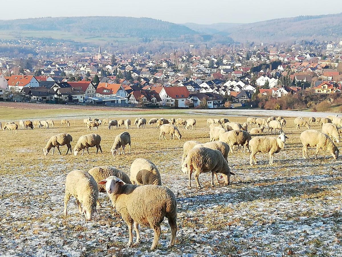 Annettes Ferienwohnung Michelstadt Bagian luar foto